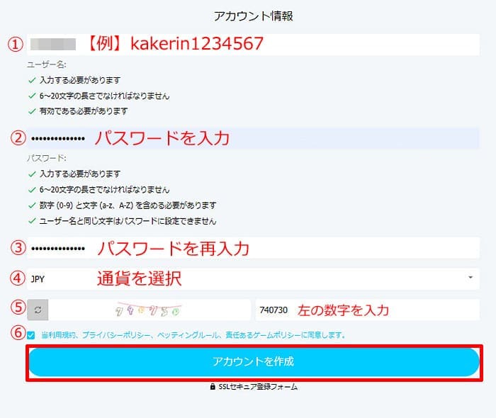 アカウント情報入力画面