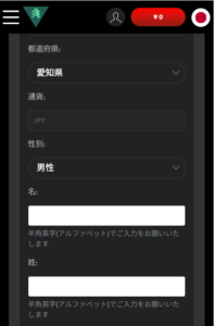 ハントカジノ　プロフィール設定画面