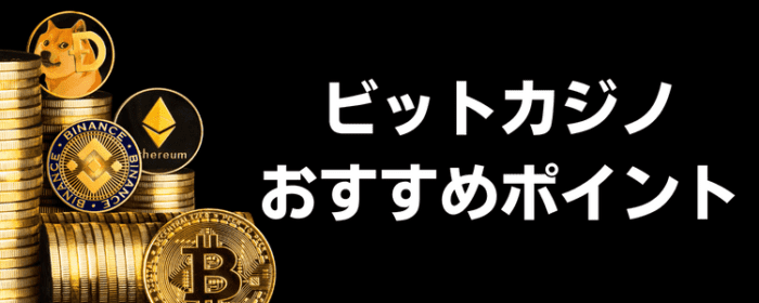 おすすめ ポイント