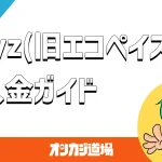 payz（エコペイズ）の入金方法を解説