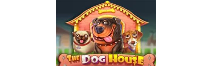 The Dog House