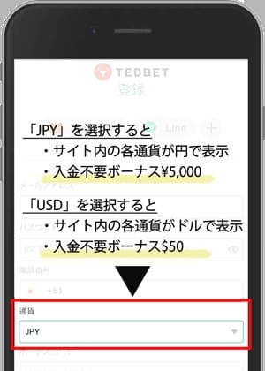 登録時に通貨を選択