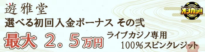 最大2.5万円の100%スピンクレジット